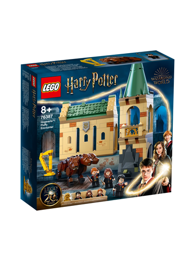 LEGO HARRY POTTER Tylypahka: Pörrön kohtaaminen 76387