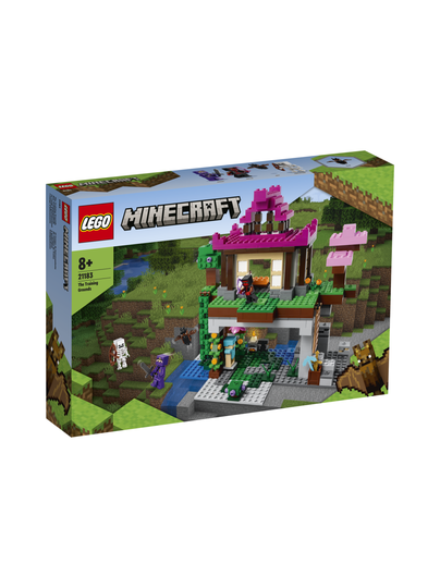 LEGO MINECRAFT Treenikeskus 21183